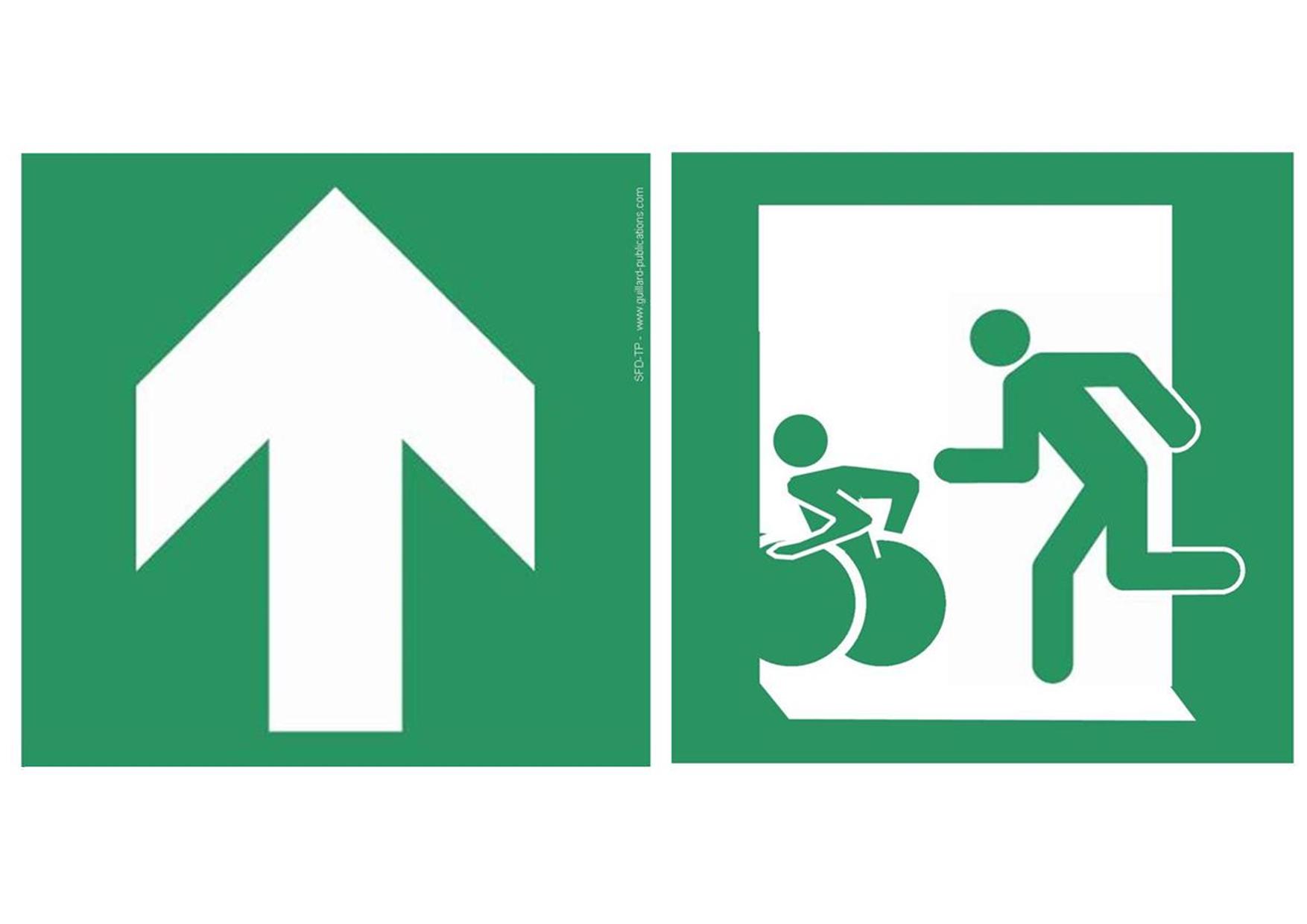 Sortie d'évacuation directe ou différée (handicapés), droit devant  SF-DDEV. TP