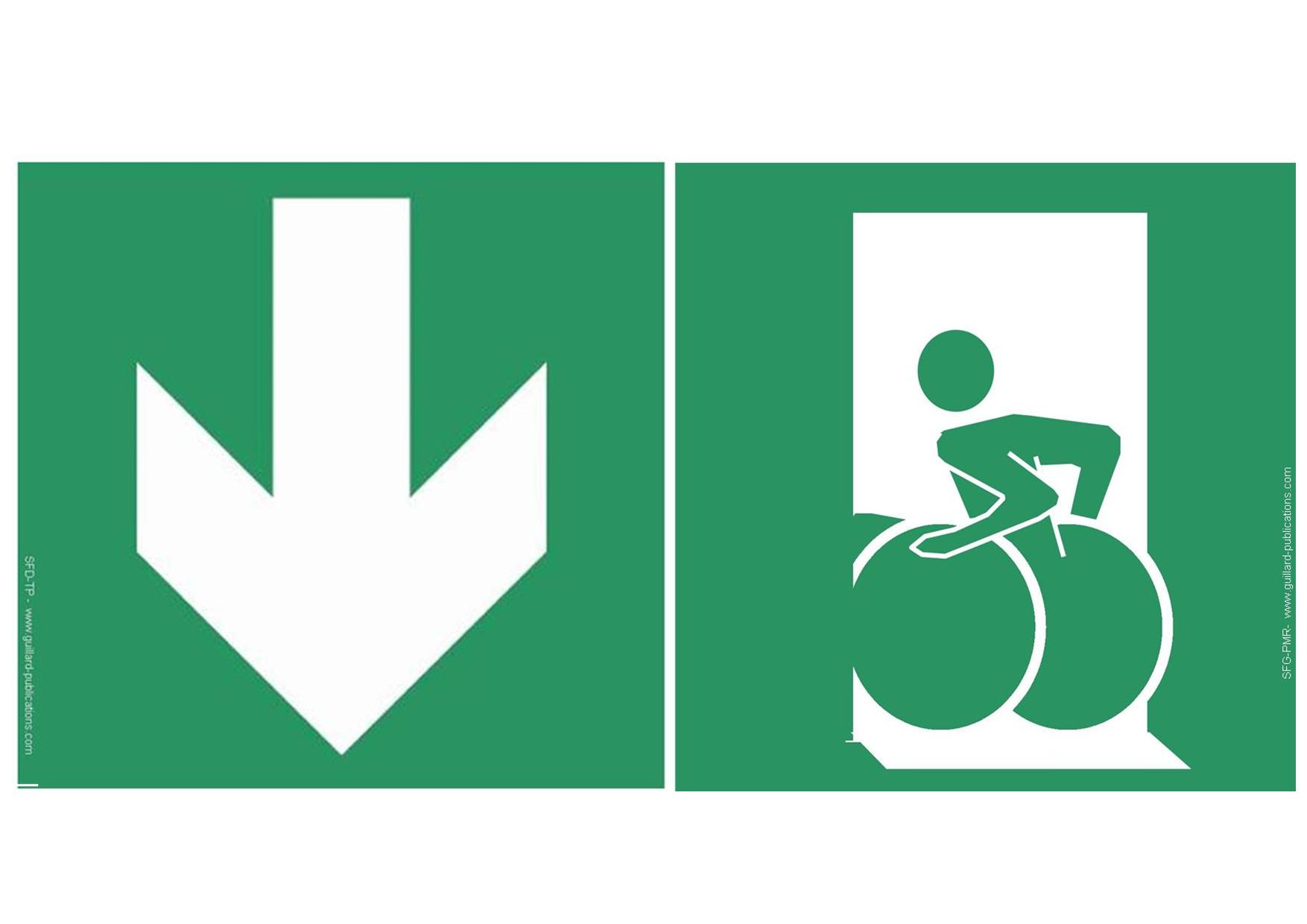 Sortie d'évacuation directe ou différée pour handicapés (en dessous du panneau) pour personne à mobilité réduite   SF.DESS.PMR