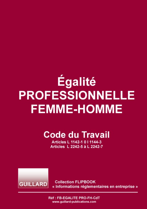 FLIPBOOK gratuit - Egalité professionnelle FEMME-HOMME - Code du Travail - FB-EGAL.PRO.FH-CdT